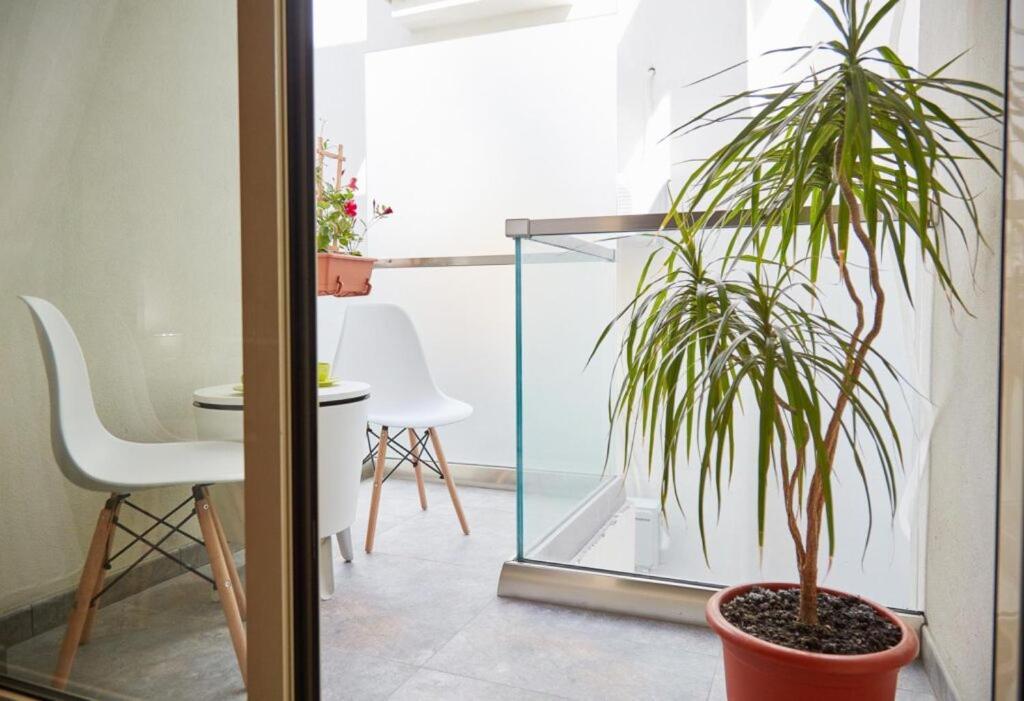 Lemon Bite Studio Stefan Building Năvodari 외부 사진